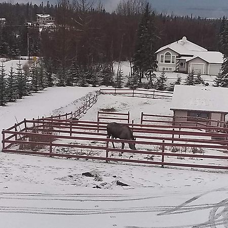 Alaska Sundance Retreat Bed & Breakfast Анкоридж Екстер'єр фото